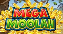 Mega Moolah