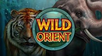 Wild Orient Pokie Wild Orient Pokie
